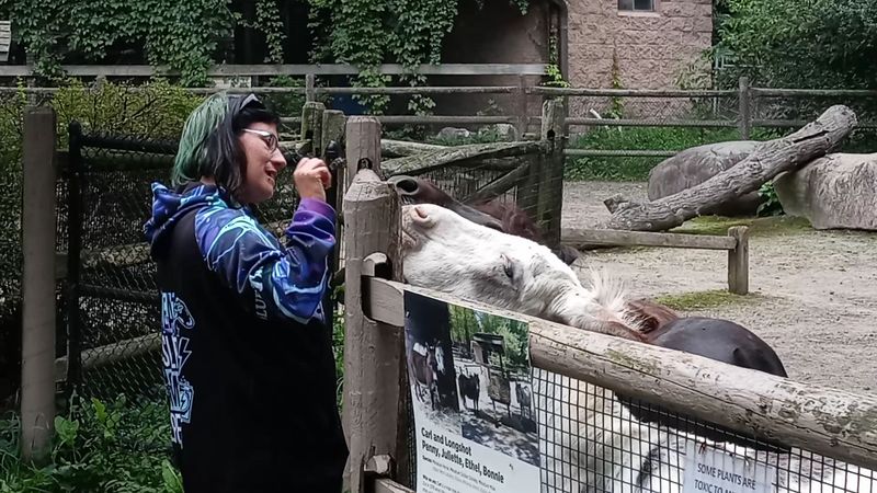 Educational Programs That Go Well Beyond A Standard School Trip