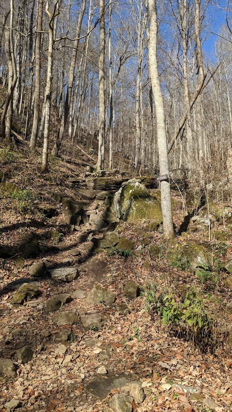 Virgin Falls Trail, Virgin Falls State Natural Area
