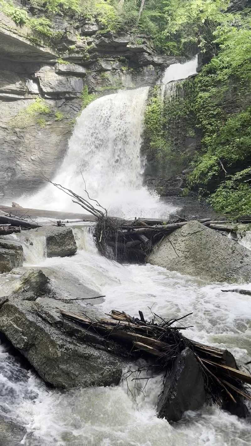 Five Waterfalls Worth The Wet Boots
