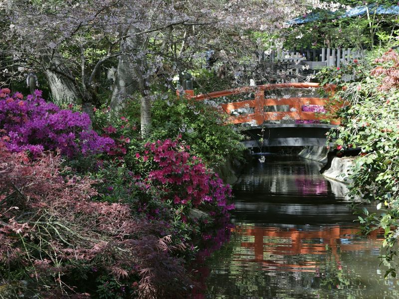 Descanso Gardens