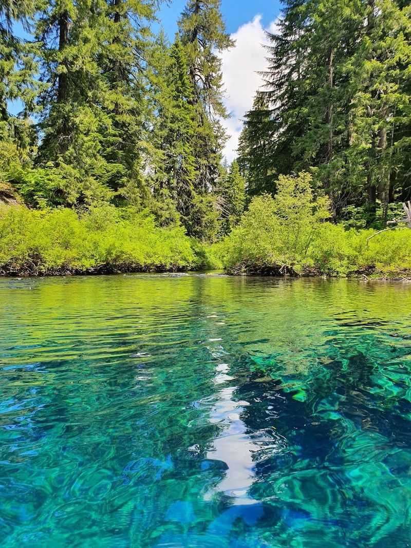 Cold Water, Warm Memories, No Swimming Allowed