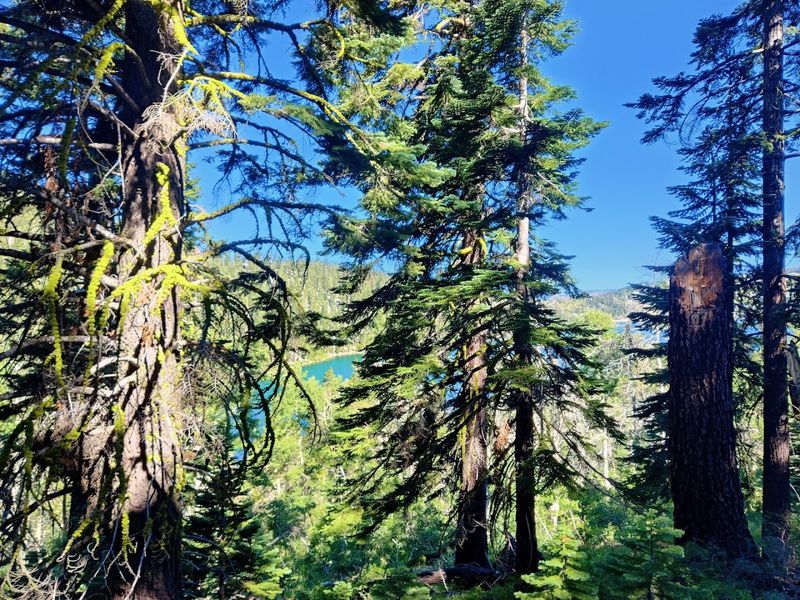 The Trail Connects To The Famous Flume Trail Area