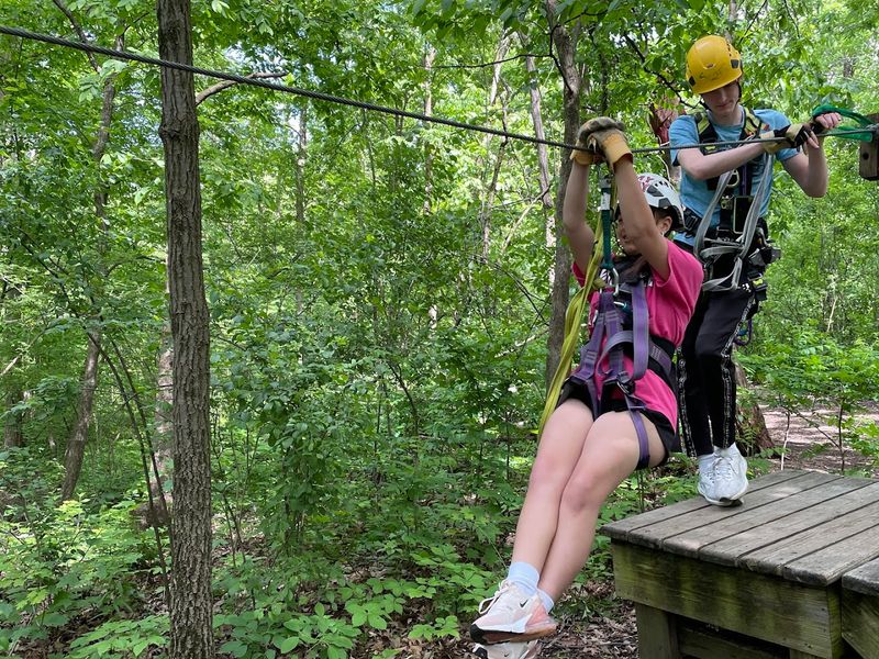 The Tour Sends Visitors Flying Through The Treetops