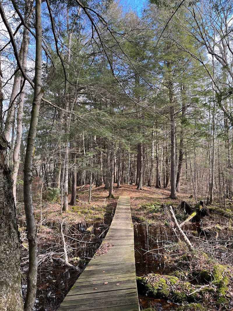 The North Country Trail Offers A True Long Distance Hiking Experience