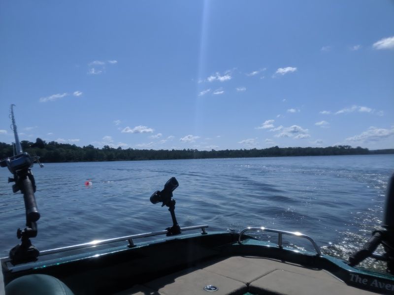 The Lake Still Feels Wild Because So Much Of The Shoreline Stays Forested