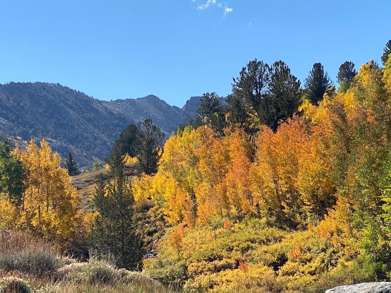 Best Times And Seasons To Visit The Canyon
