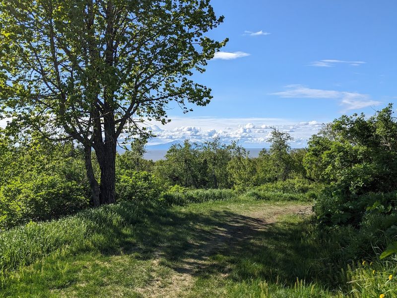 Seasonal Weather Patterns And Their Impact On The Trail