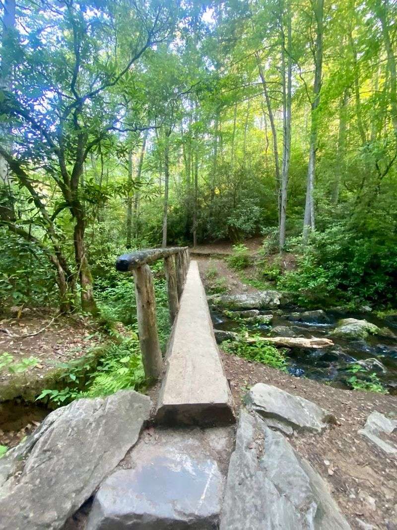 The Terrain And Trail Conditions Along The Way