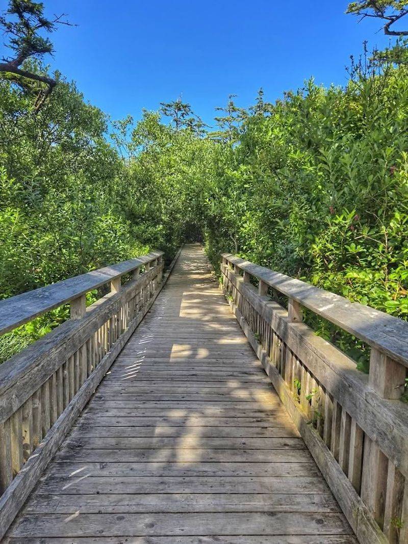 Trail Accessibility And Visitor Guidelines