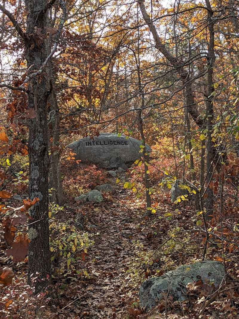 Dogtown, Gloucester