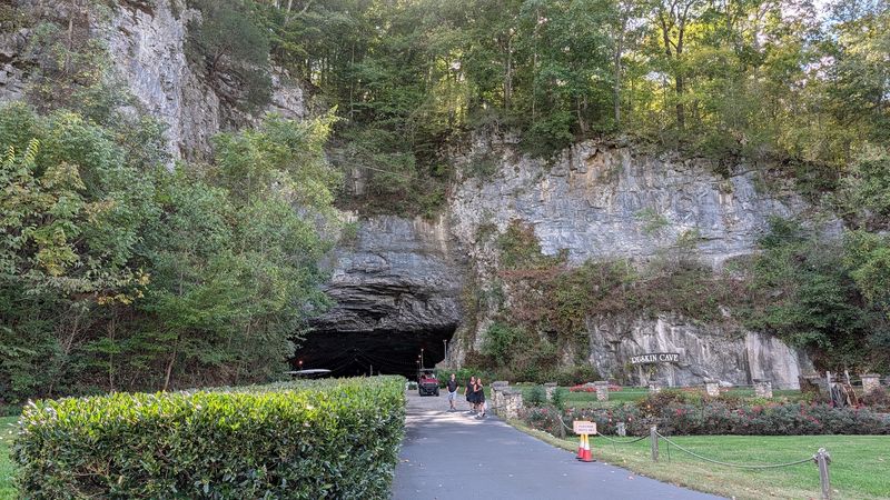 Ruskin Cave, Dickson