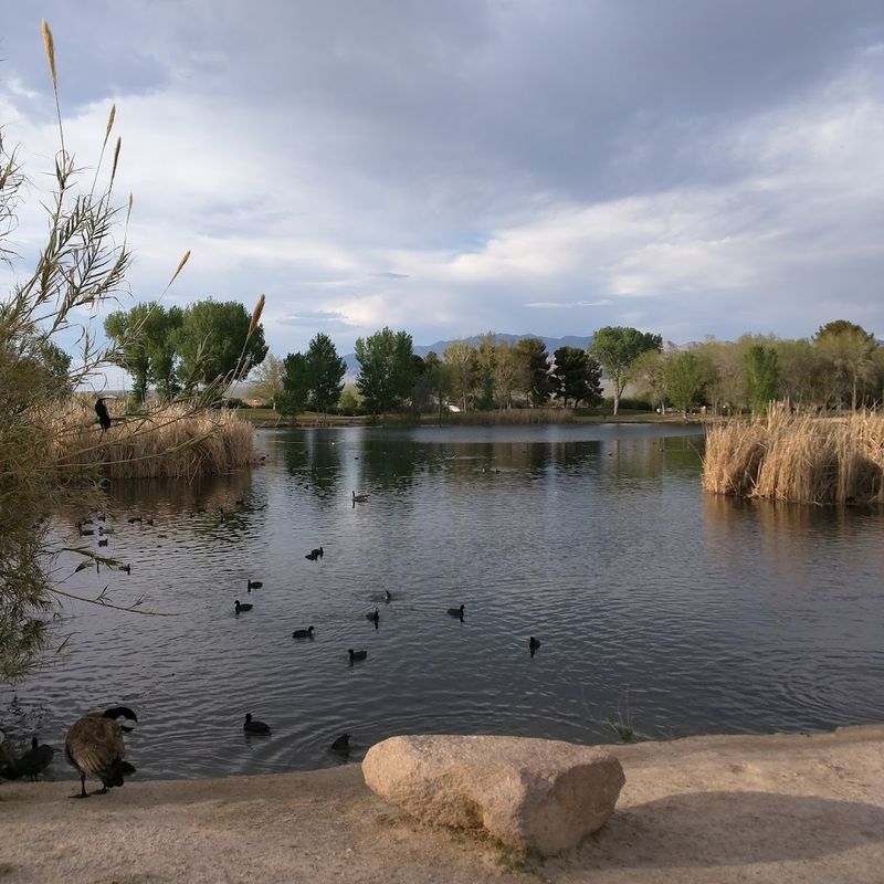Rainbow Trout And Catfish Keep Anglers Coming Back