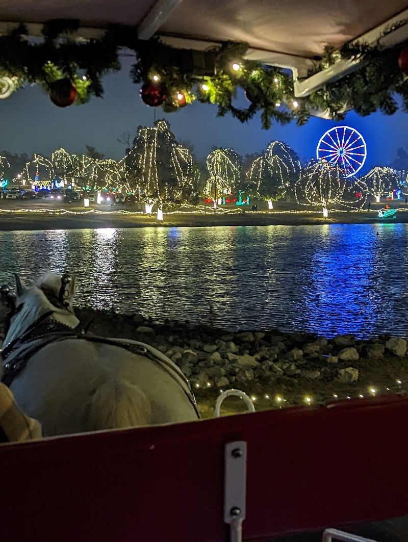 Horse-Drawn Carriages, Ice Skating, and Carnival Rides