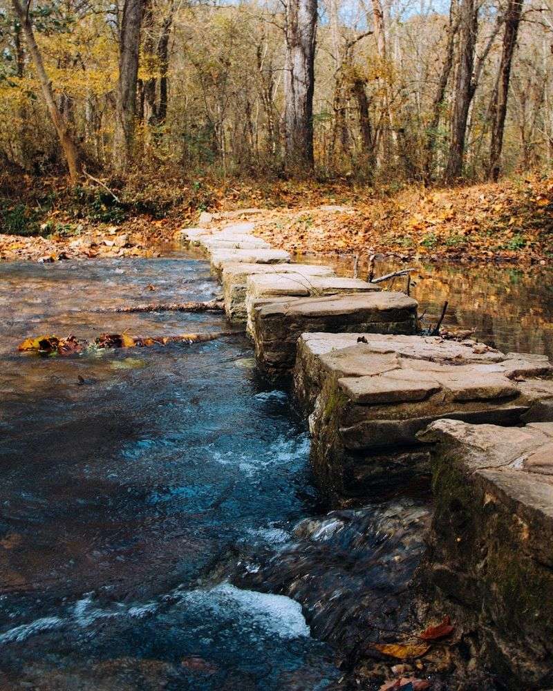 Rock Spring Nature Trail Magic