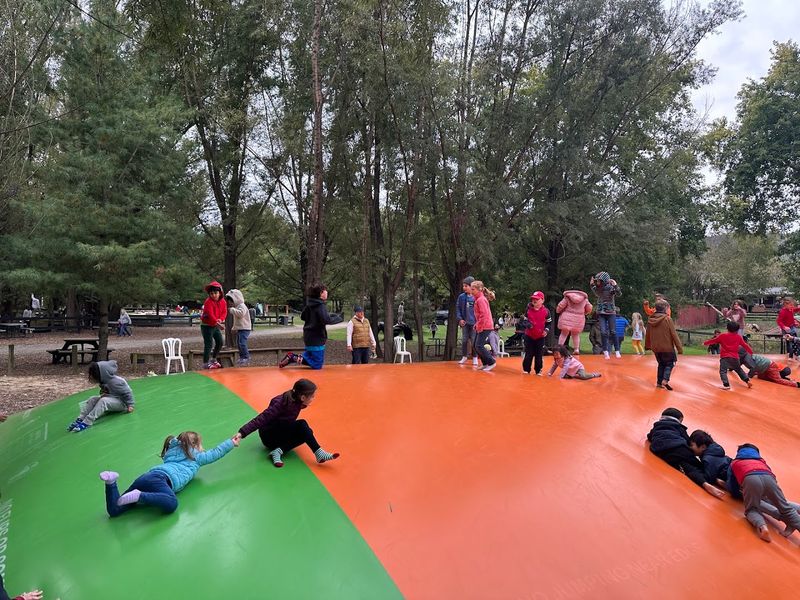 Family Activities And Events At The Farm