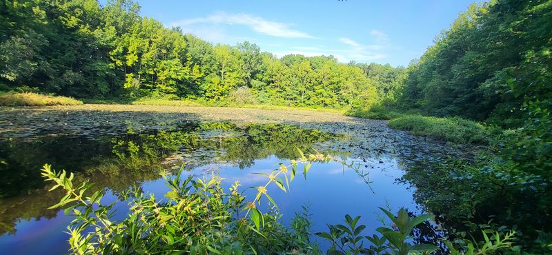 Blue Heron Park Nature Center