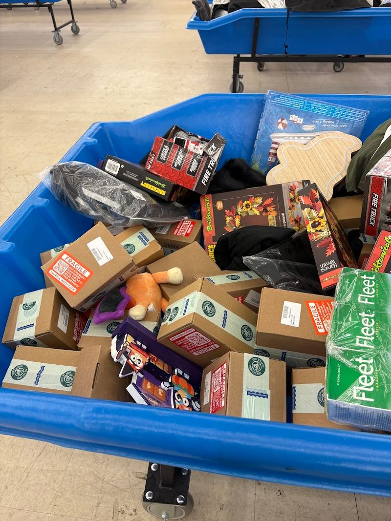 The Surprising Finds Waiting Inside The Bins