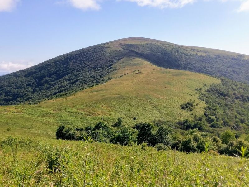 Roan Mountain, Tennessee