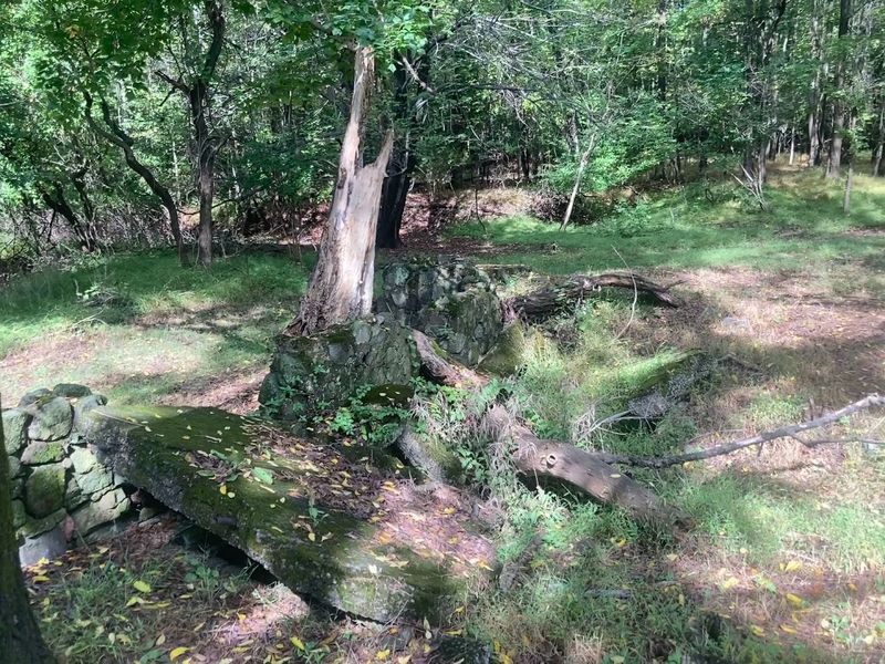 Why This Hike Belongs On Your Staten Island List