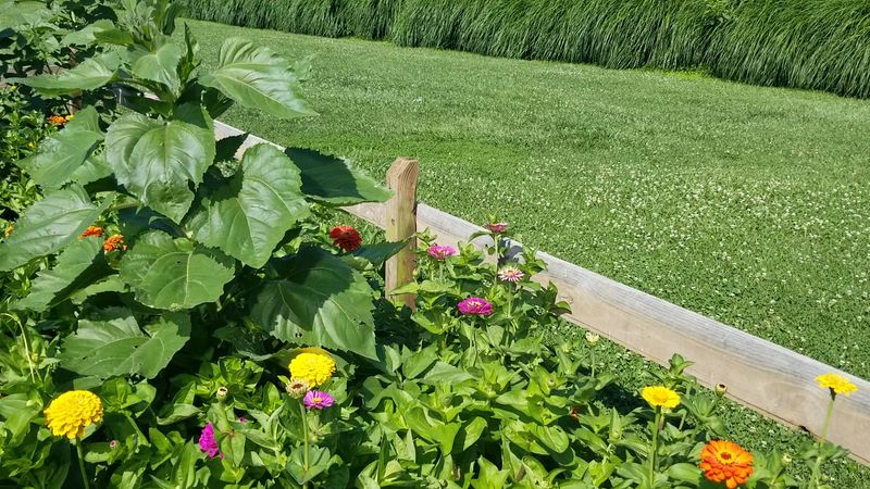Local Wildlife And Natural Surroundings To Explore