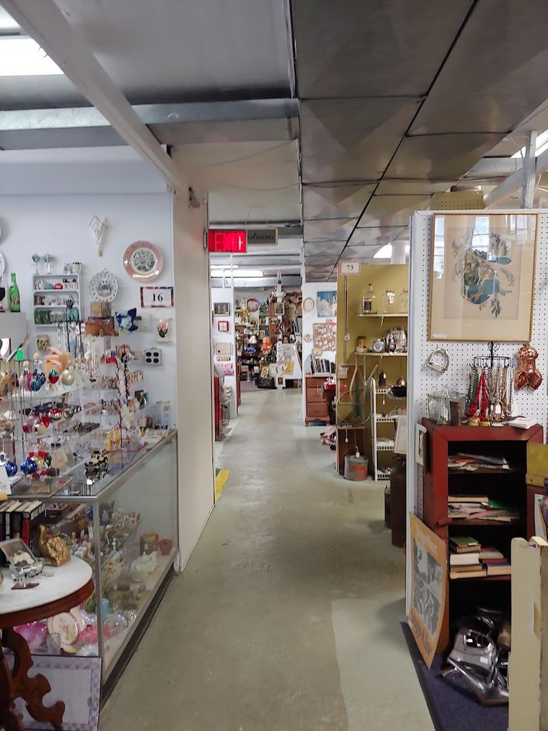 Small Treasures Worth Slowing Down For