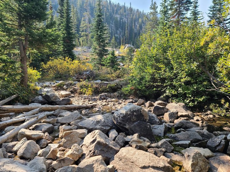 Trail Conditions And Accessibility Details