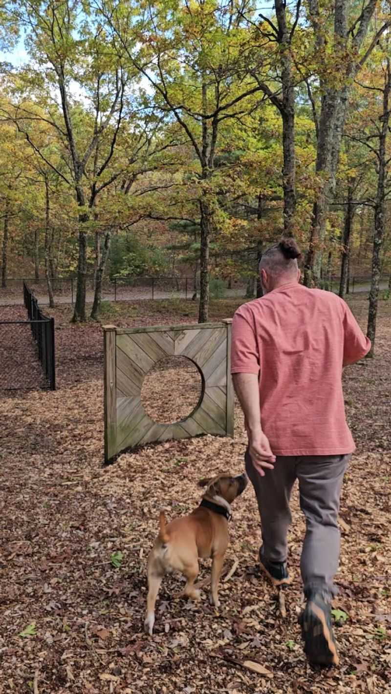 Freedom Tail Park Is The Dog-Friendly Feature Every Pet Owner Will Appreciate