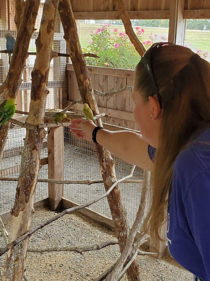 Reptile Encounters And The Display Barn