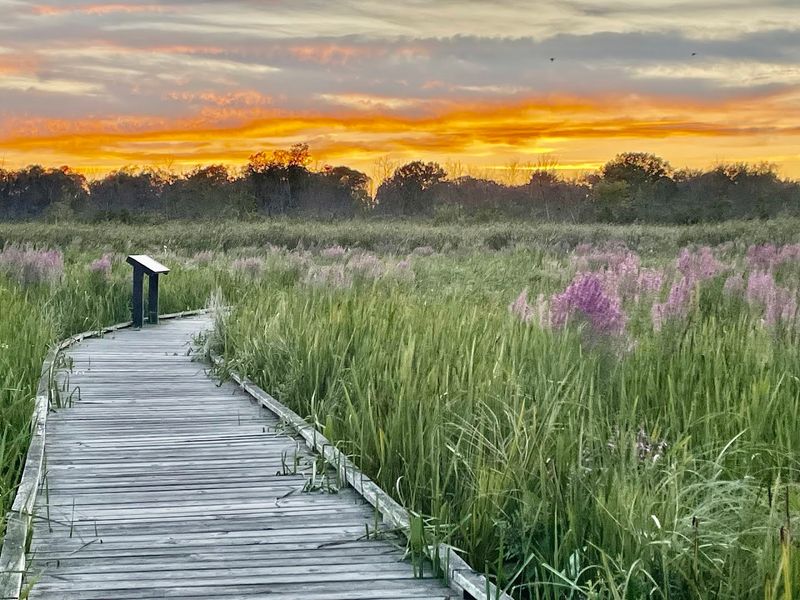 Kohler-Andrae State Park, Sheboygan