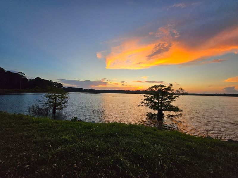 Noxubee Hills Route Scenic Byway