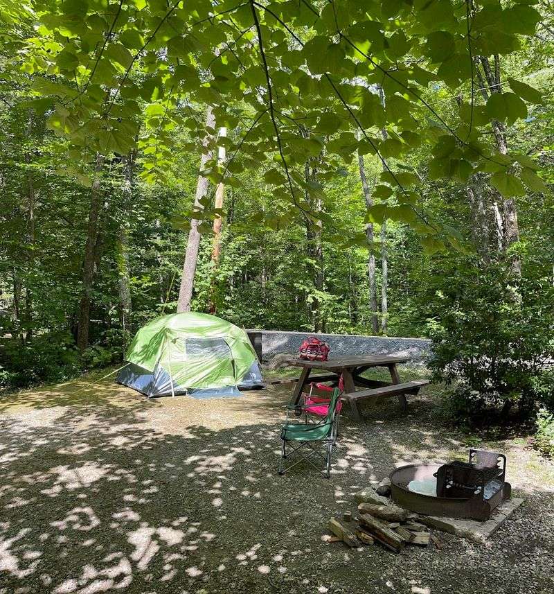 Mohawk Trail State Forest Campground, Charlemont