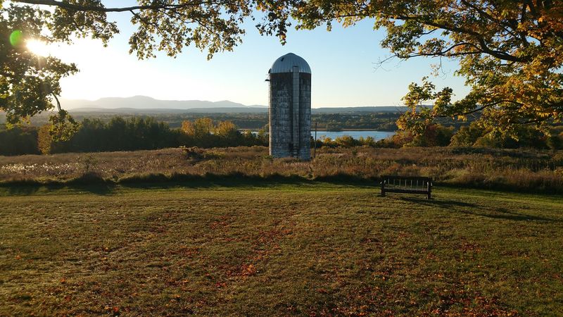 Harrier Hill Park