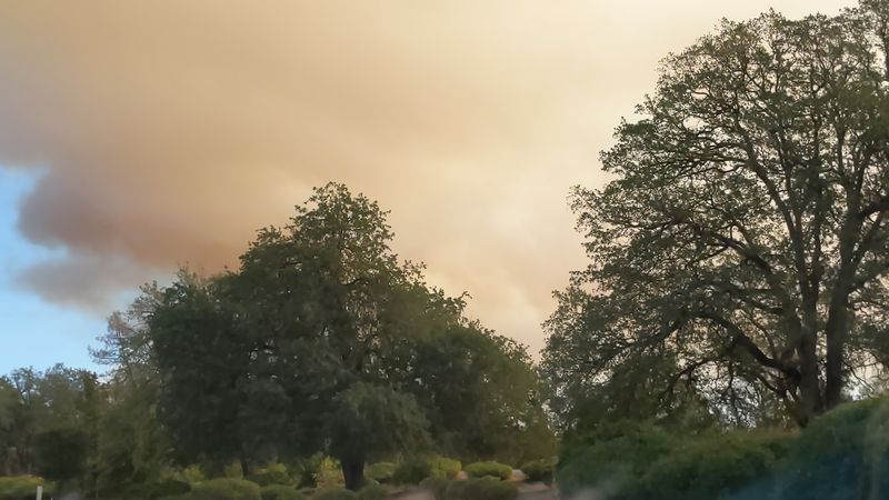 Wildfire Awareness Is Part of Mountain Living