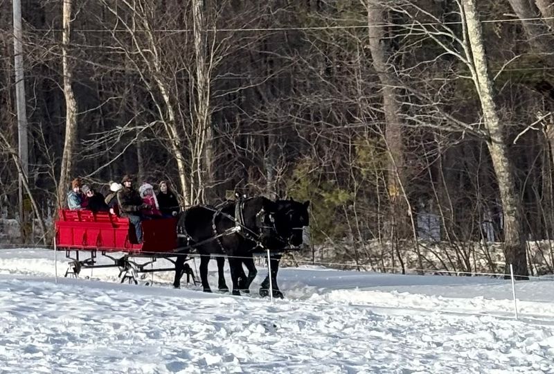 Horse-Drawn Sleigh And Wagon Rides Worth Planning Around