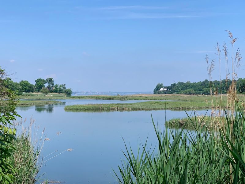 Udall's Cove Park Preserve