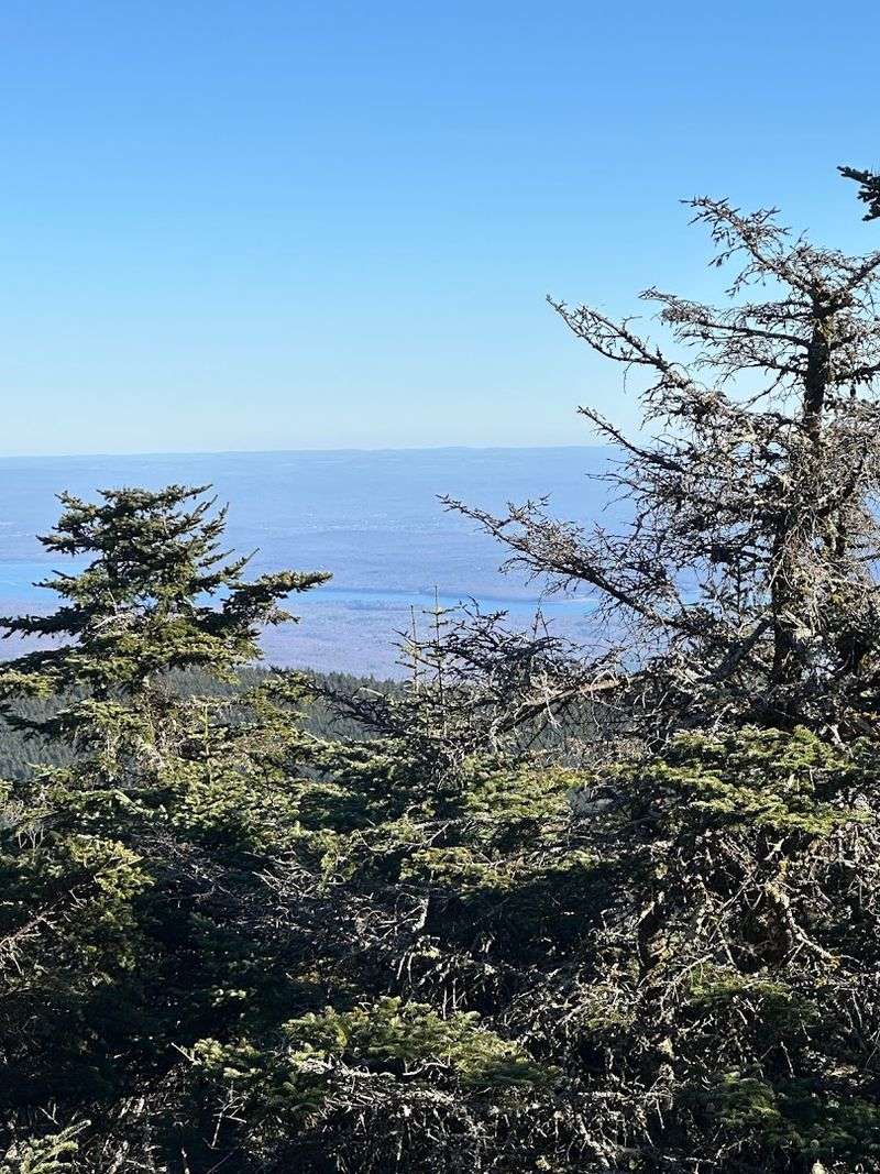 Catskill Forest Preserve State Lands: Morel Country With Serious Credentials