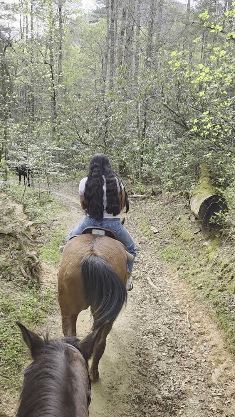 A Living History Lesson On Every Trail
