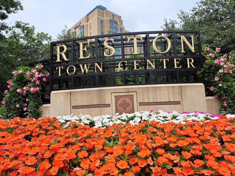 Reston