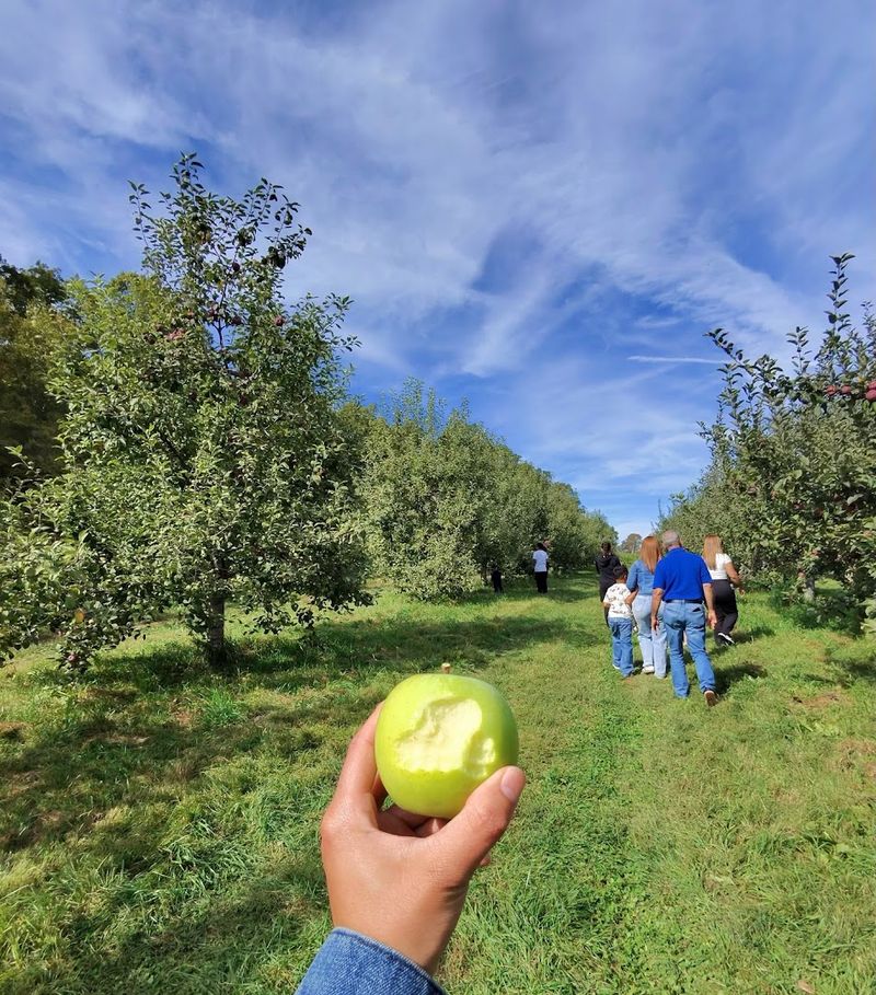 Fall At March Farm Is A Whole Different Experience