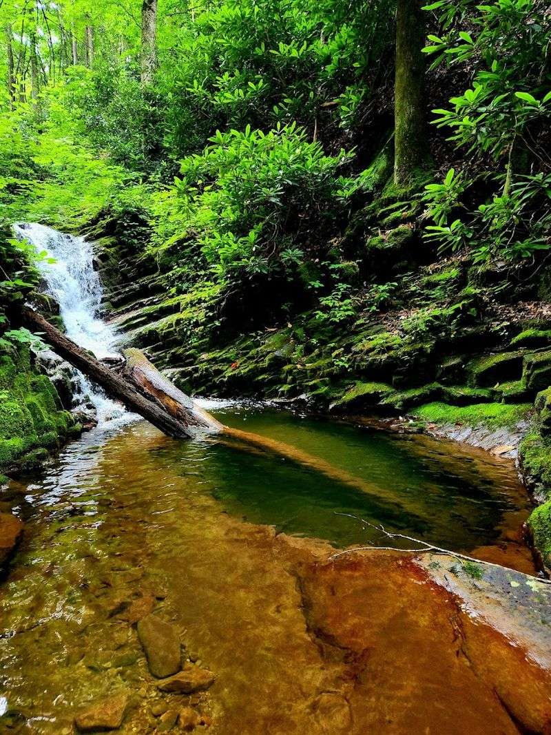 Bailey Falls: The Off-Trail Reward For Experienced Hikers