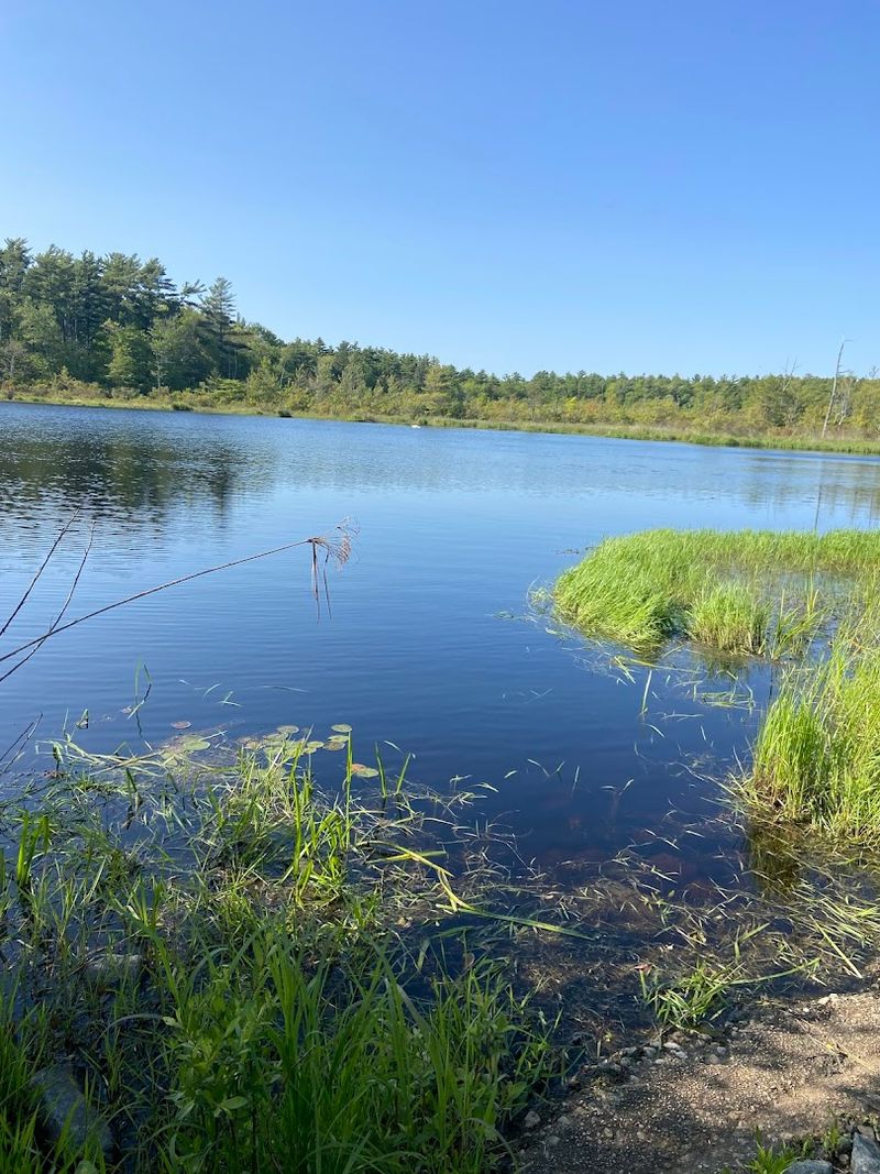 Conservation As A Community Value