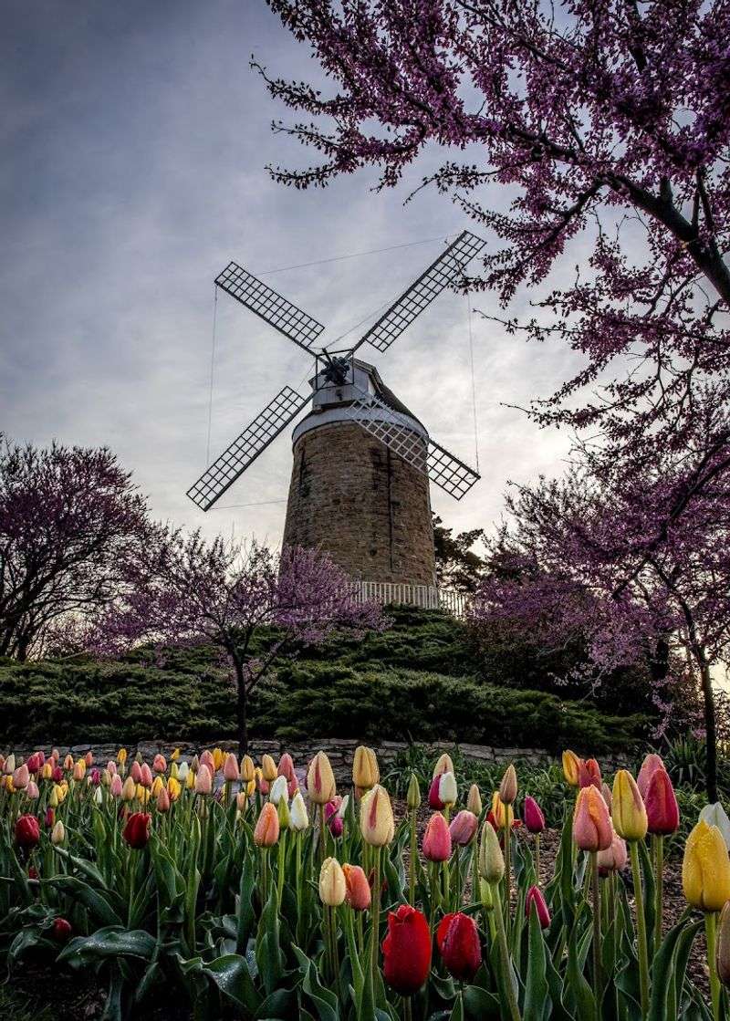 Schonhoff Dutch Mill