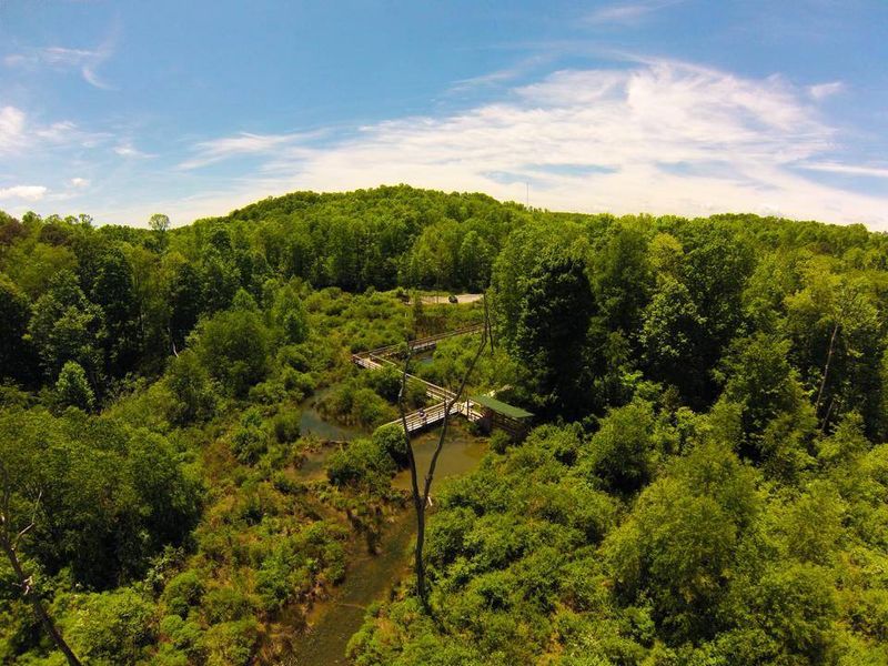 Wildlife Watching And Nature Exploration