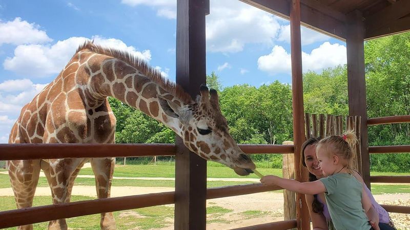 Family Friendly Attractions And Entertainment