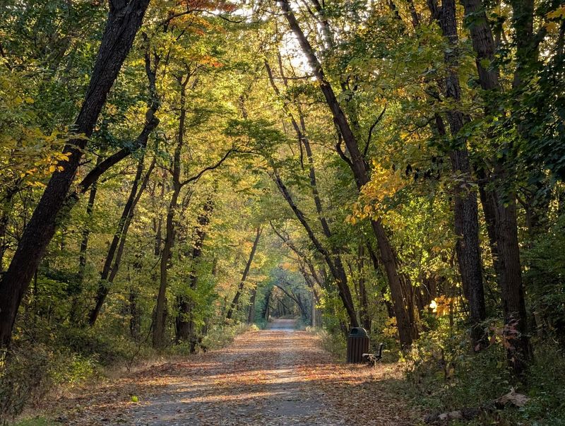 Flora And Fauna Along The Trail