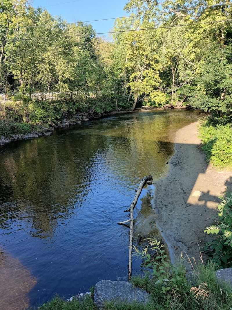 Local Flora And Fauna Surrounding The Bridge