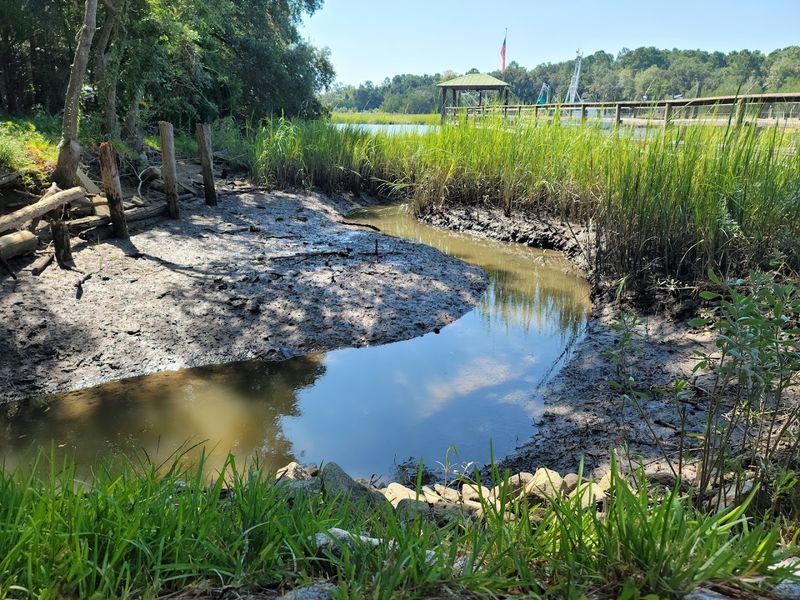 Outdoor Activities And Nature Exploration
