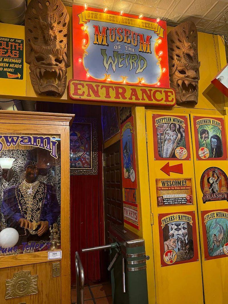 Design And Atmosphere Of Horror Exhibits
