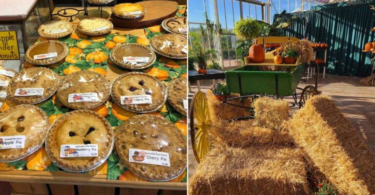 Homemade Pies And Donuts Make This New Jersey Farm Market A Must-Visit