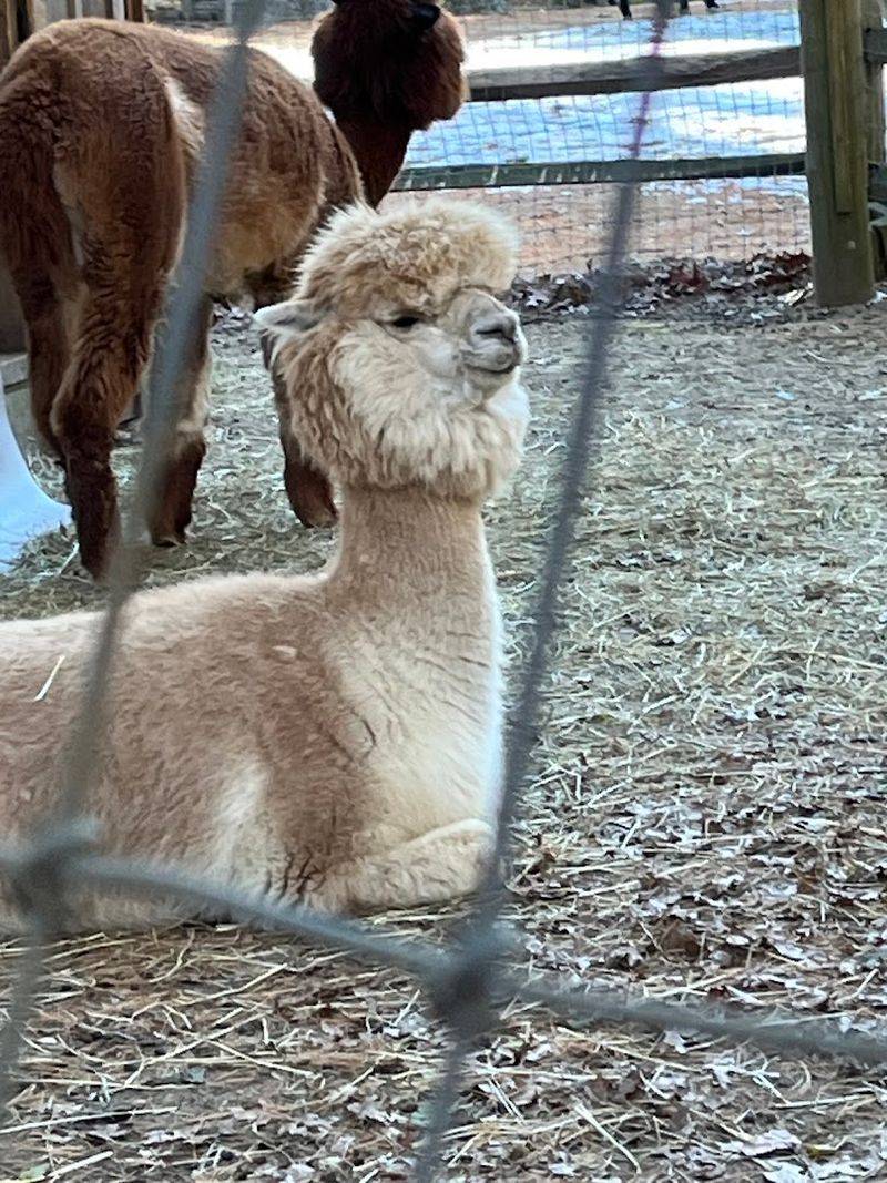 Why This Sanctuary Feels Different From Any Other Day Trip Option